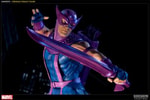 Hawkeye Collector Edition View 7