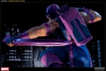 Hawkeye Collector Edition View 10