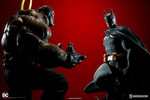 Batman Collector Edition View 15