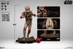 Commander Cody View 2
