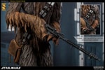 Chewbacca (Prototype Shown) View 2