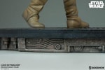 Luke Skywalker Collector Edition View 7