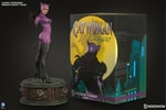 Classic Catwoman View 11