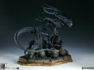 Alien Queen View 10