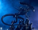 Alien Queen View 23