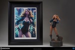 Black Canary Collector Edition View 18