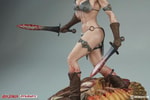 Red Sonja She-Devil with a Sword Collector Edition View 2