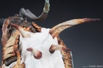 Shieve: The Pathfinder