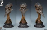 Poxxil The Scourge Exclusive Edition View 3