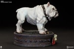 Dawg View 9