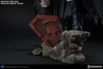 Batman Red Son View 13
