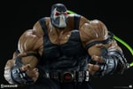 Bane Collector Edition View 33