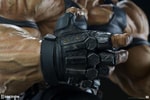 Bane Collector Edition View 14