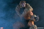 Sabretooth Classic Collector Edition View 17