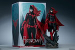 Batwoman Collector Edition View 23