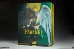 Hawkgirl Collector Edition View 24
