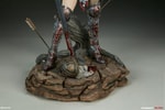 Red Sonja Collector Edition View 20