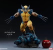 Wolverine Exclusive Edition View 30