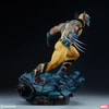 Wolverine Exclusive Edition View 25