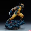 Wolverine Collector Edition View 20