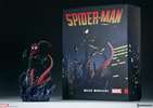 Spider-Man Miles Morales Collector Edition View 22
