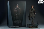 Jyn Erso Collector Edition View 23