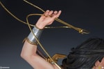 Wonder Woman Exclusive Edition View 22
