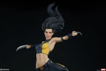 X-23 Collector Edition View 22