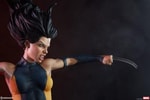 X-23 Exclusive Edition View 19