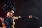 X-23 Collector Edition View 15