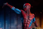Spider-Man Collector Edition View 4