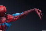 Spider-Man Collector Edition View 19