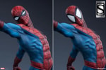 Spider-Man Exclusive Edition View 3