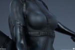 Catwoman Collector Edition View 20
