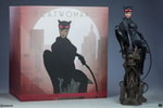 Catwoman Exclusive Edition View 15
