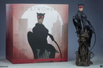 Catwoman Collector Edition View 10