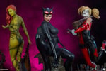 Catwoman Collector Edition View 4