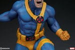 Cyclops View 13