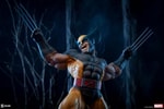 Wolverine Collector Edition View 28