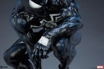 Symbiote Spider-Man View 27