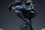 Symbiote Spider-Man View 16