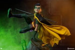 Robin Collector Edition View 1