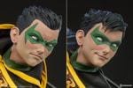 Robin Collector Edition View 20