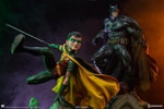 Robin Collector Edition View 6
