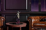 Dark Sorceress: Guardian of the Void Collector Edition View 27