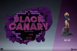 Black Canary View 4