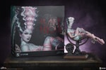Frankie Reborn View 25