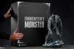 Frankenstein's Monster (Black & White Variant) Exclusive Edition (Prototype Shown) View 5