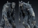 Frankenstein's Monster (Black & White Variant) Exclusive Edition (Prototype Shown) View 11