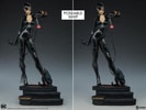 Catwoman Collector Edition View 18
